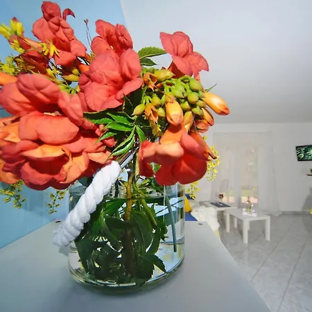 Apartman Blue Apartman Medulin