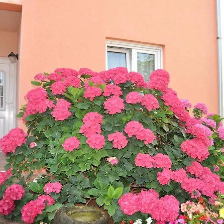 Apartman Blue Apartment *